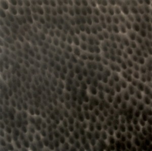 “Series 7, No. 2”, Carbon on Panel, 2009, 40” x 40”
