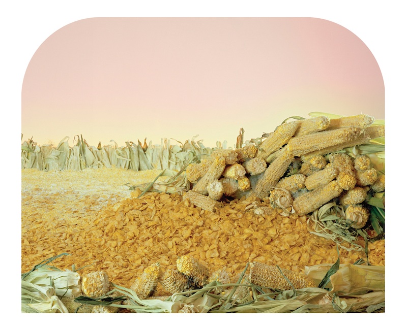 Monoculture Plains, , 22” x 18”, archival pigment print, 2014
