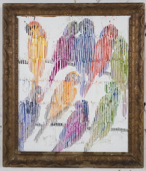 Untitled (Mixed lories on white), 30.2