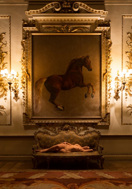 The Whistlejacket Room l