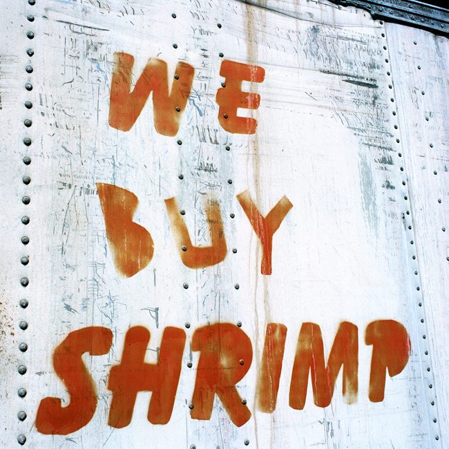 We-Buy-Shrimp