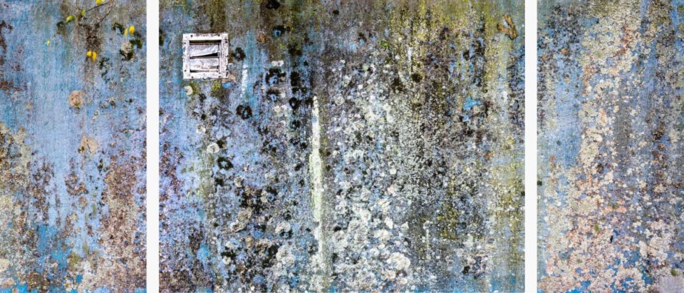 The Color of Time
