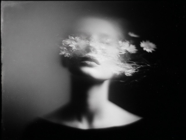 surreal flowers Medium